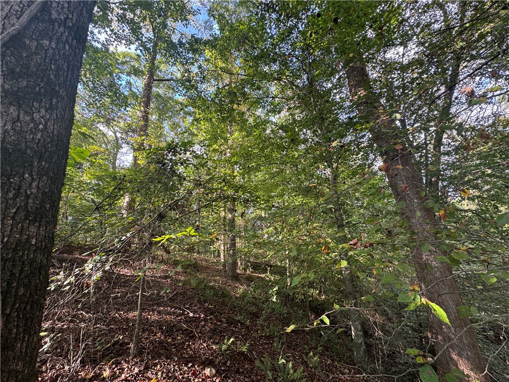 499 Acker Road