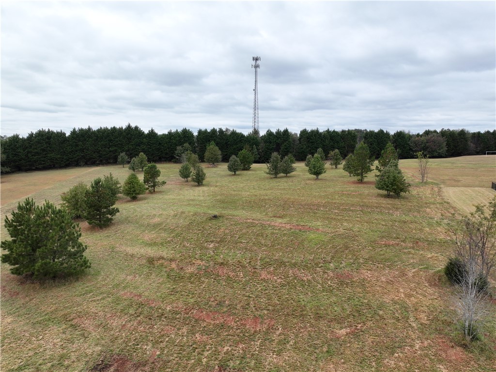 208 Chestnut Springs Way