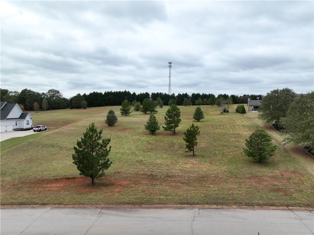 208 Chestnut Springs Way