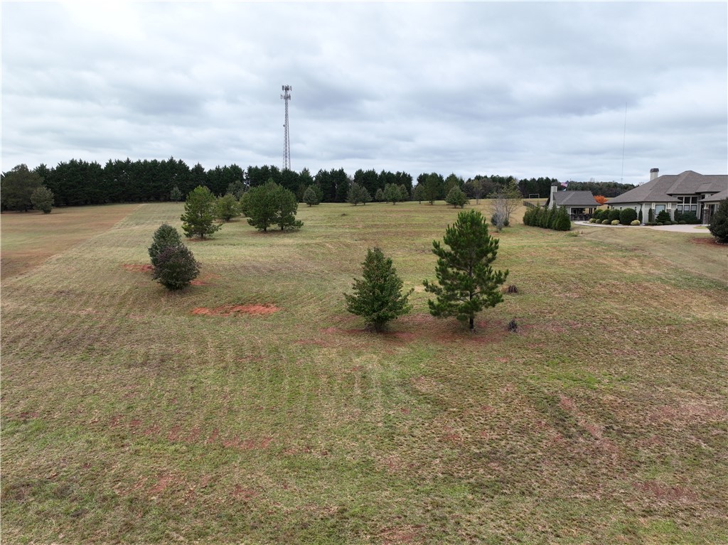 208 Chestnut Springs Way