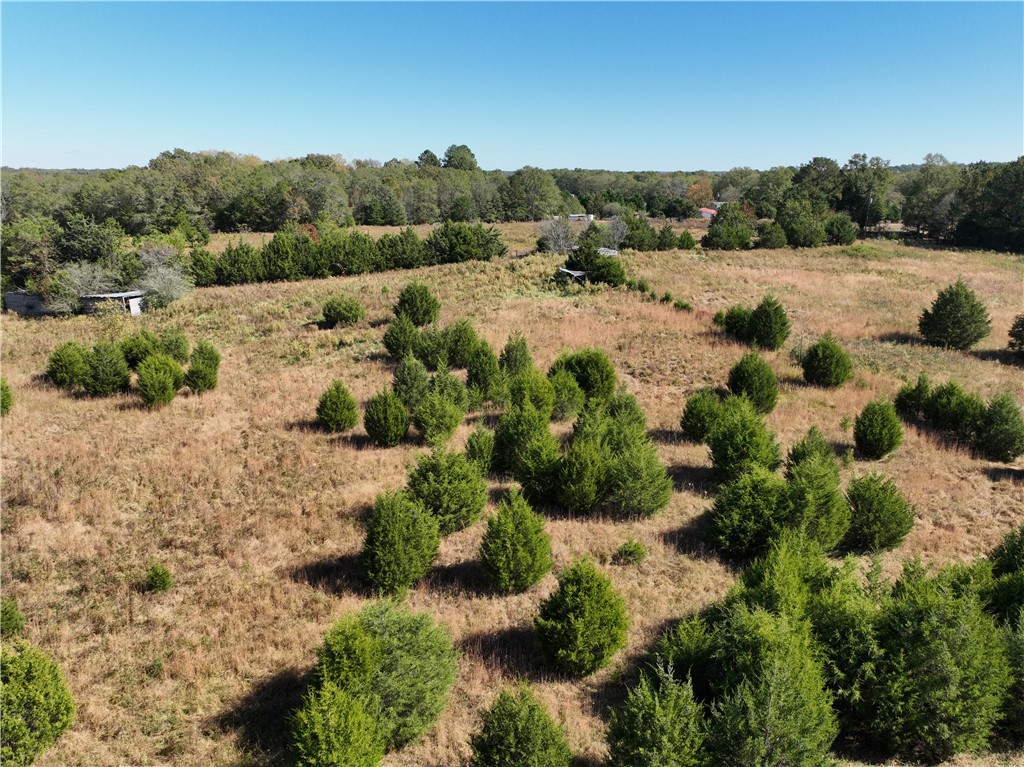 43 Joe Burton Rd Road