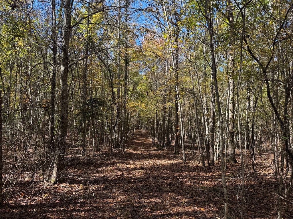 43 Joe Burton Rd Road