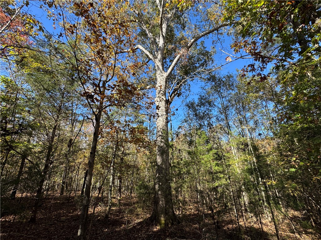 43 Joe Burton Rd Road