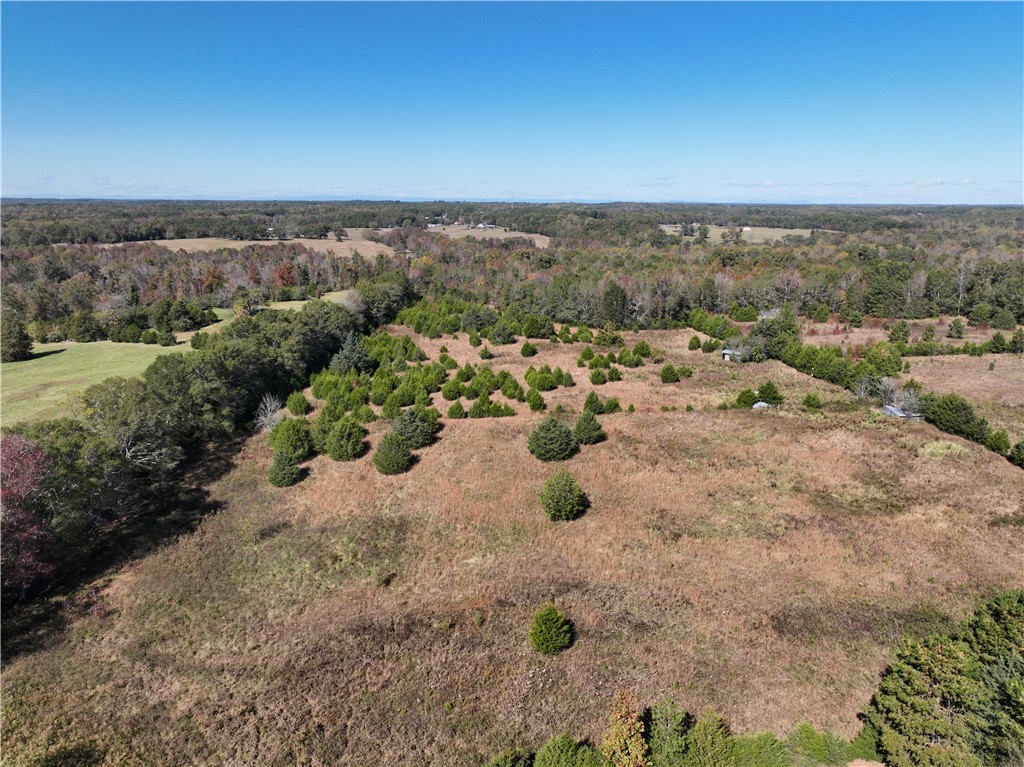 43 Joe Burton Rd Road