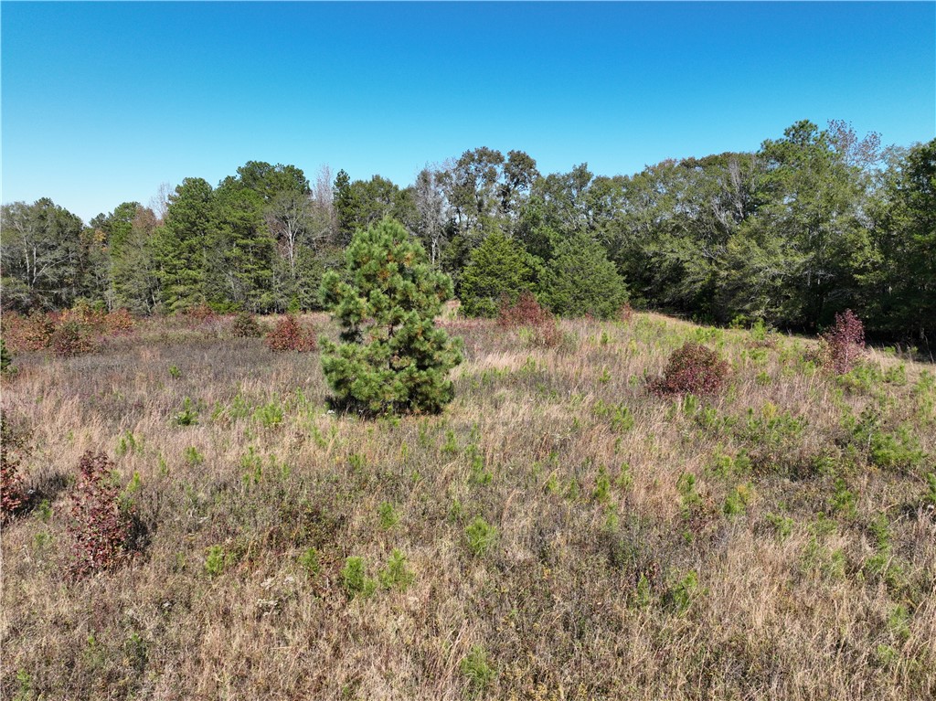 43 Joe Burton Rd Road