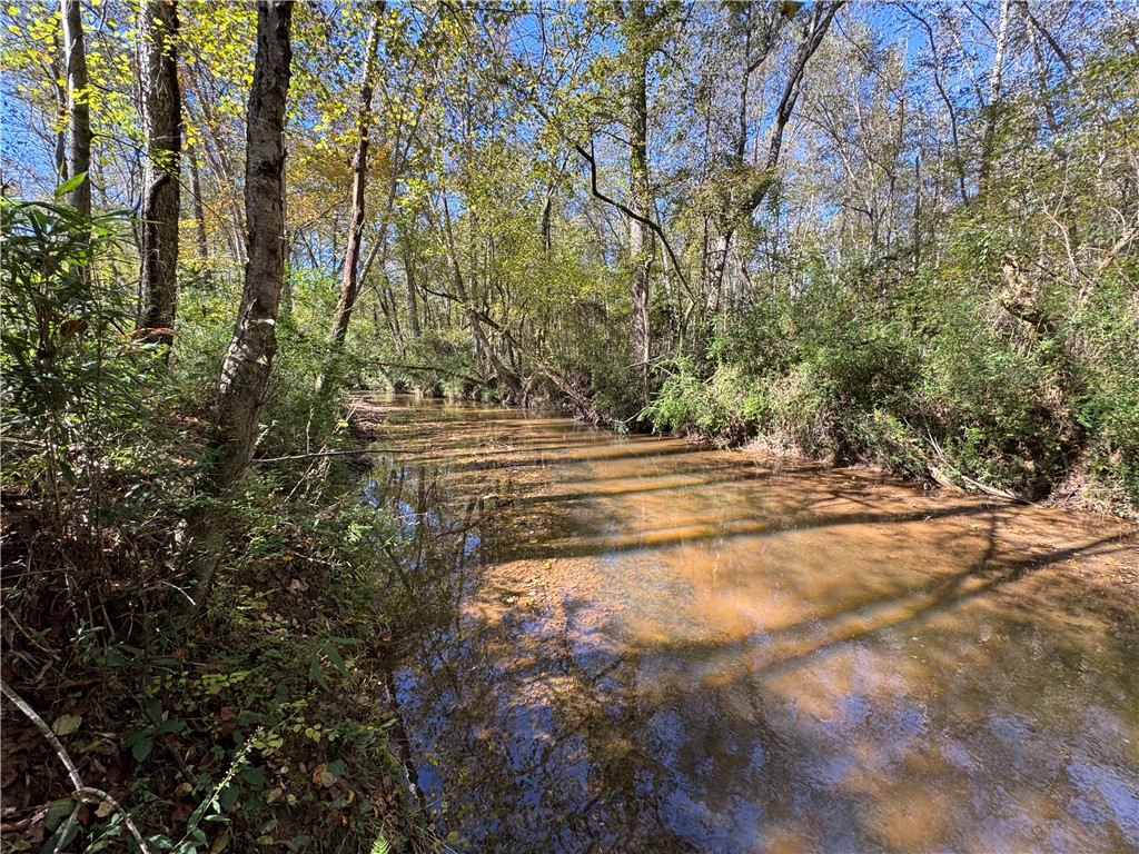 43 Joe Burton Rd Road