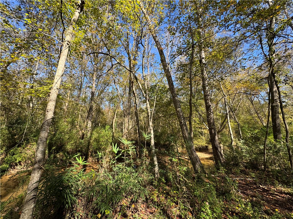 43 Joe Burton Rd Road