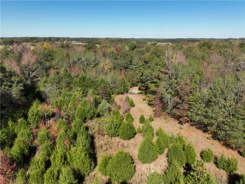 43 Joe Burton Rd Road