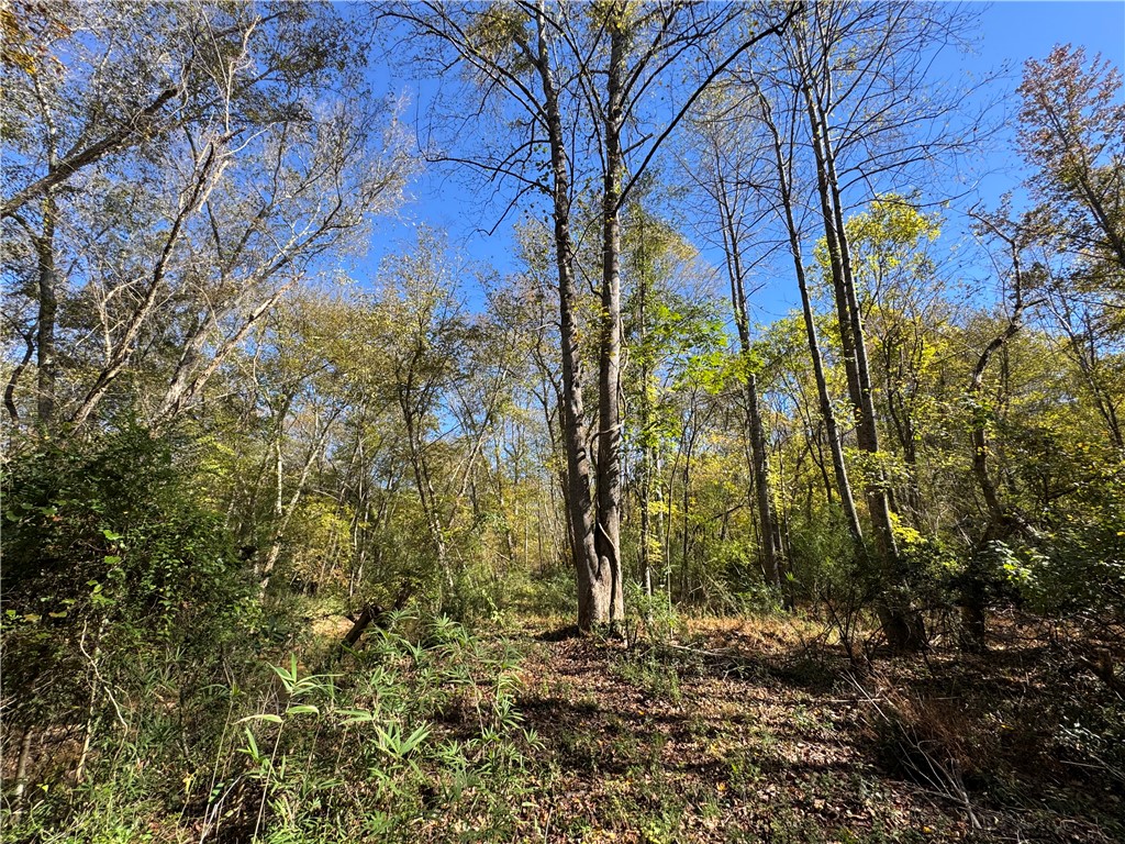 43 Joe Burton Rd Road