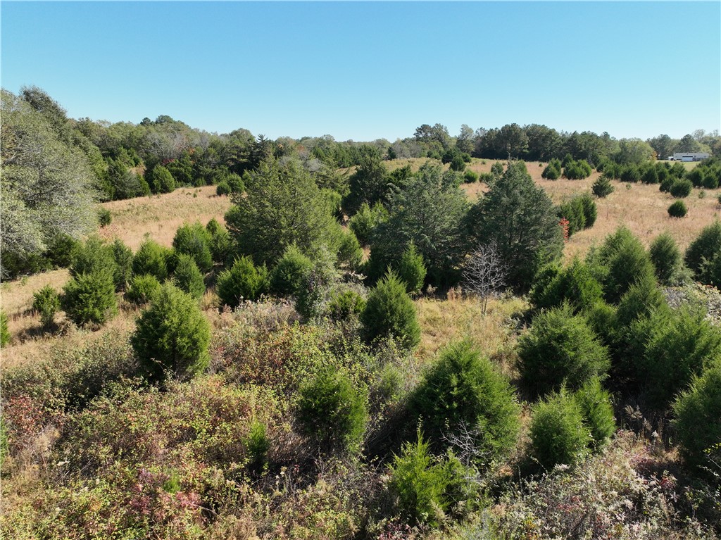 43 Joe Burton Rd Road