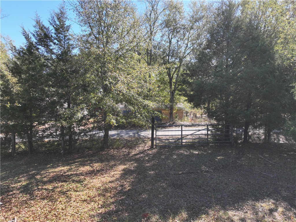 43 Joe Burton Rd Road