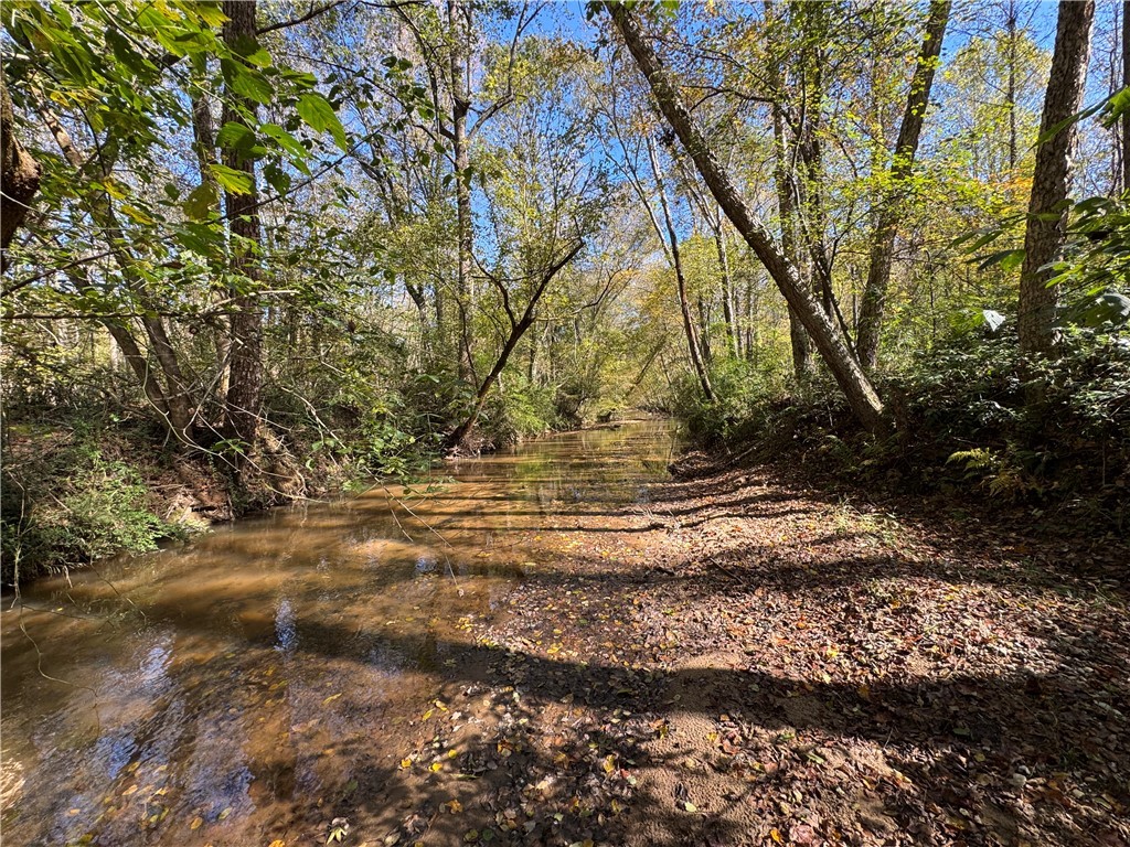 43 Joe Burton Rd Road