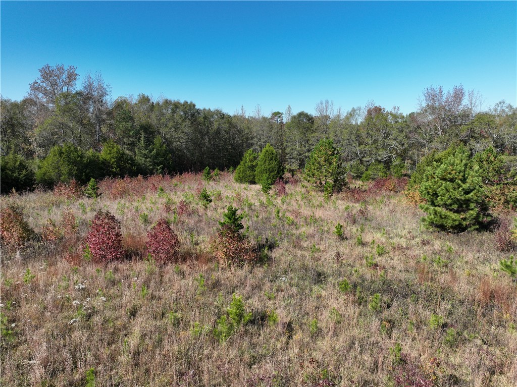 43 Joe Burton Rd Road