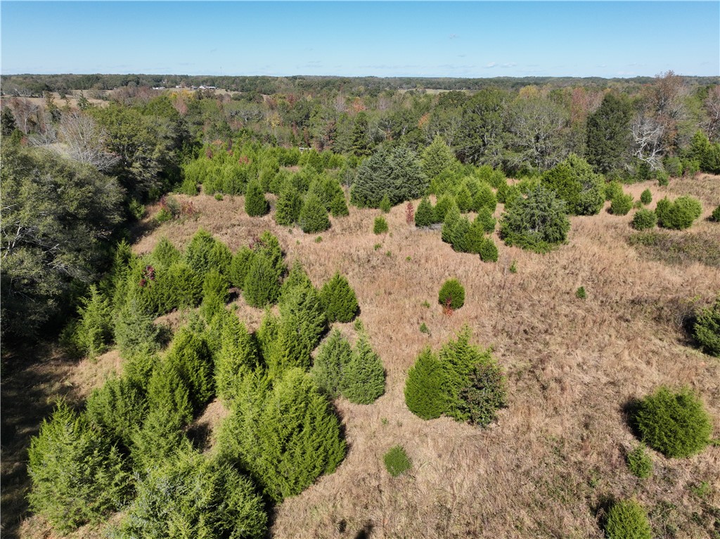 43 Joe Burton Rd Road