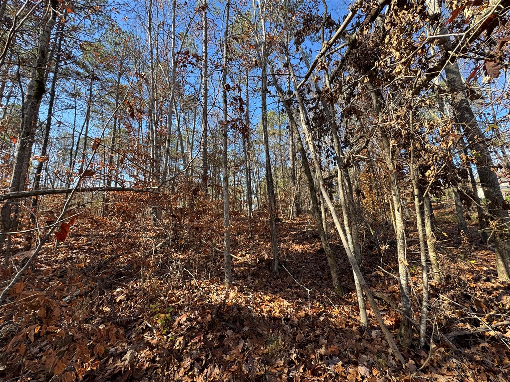 82 E Commodore Drive