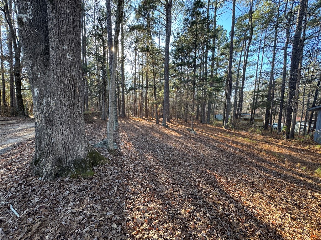 217 Cedar Knoll Lane