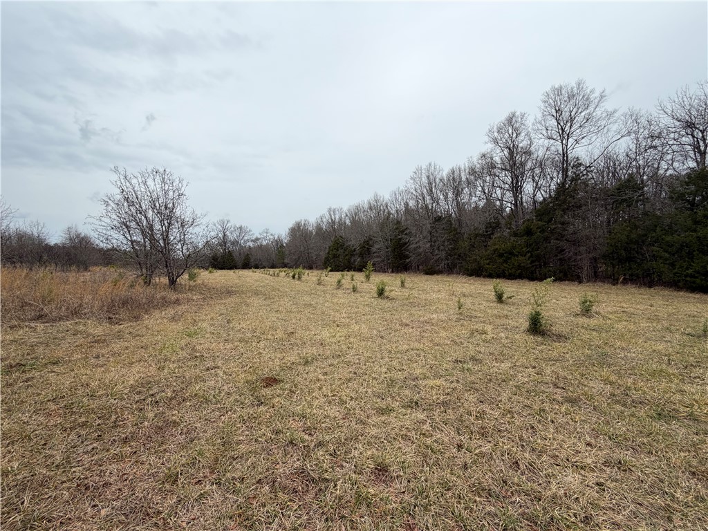 01 Seneca St Extension