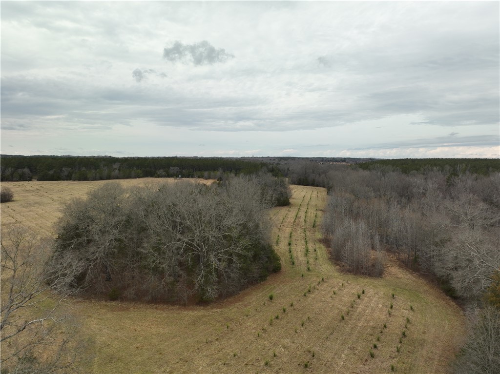 01 Seneca St Extension