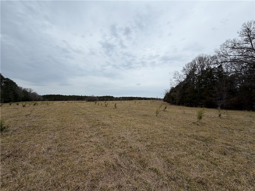 01 Seneca St Extension