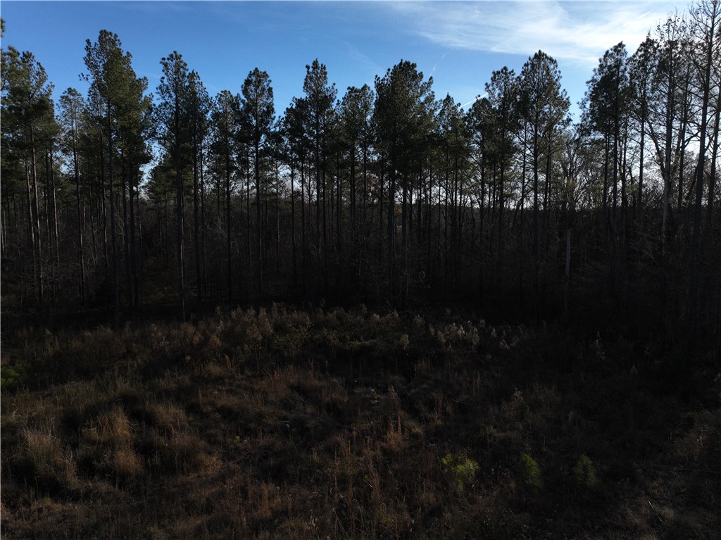 01 Seneca St Extension