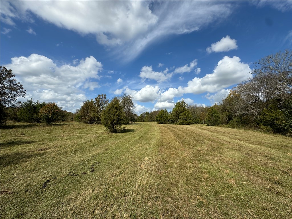 02 Seneca St Extension