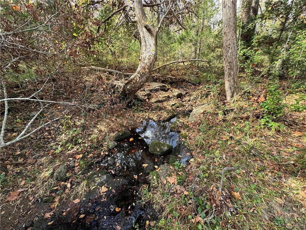 02 Seneca St Extension