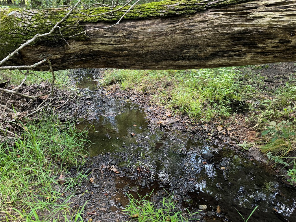 02 Seneca St Extension