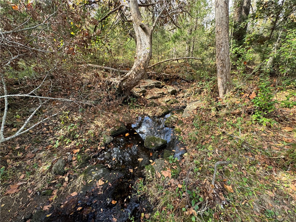 02 Seneca St Extension