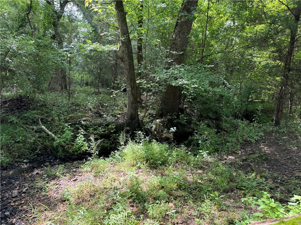 02 Seneca St Extension