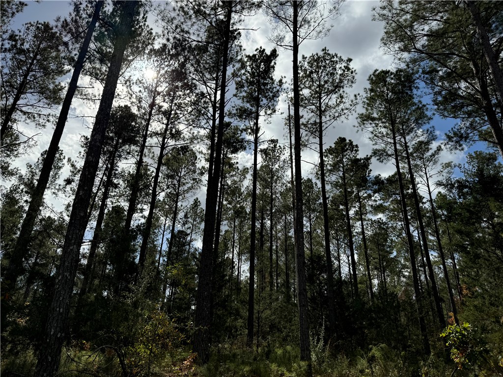 02 Seneca St Extension