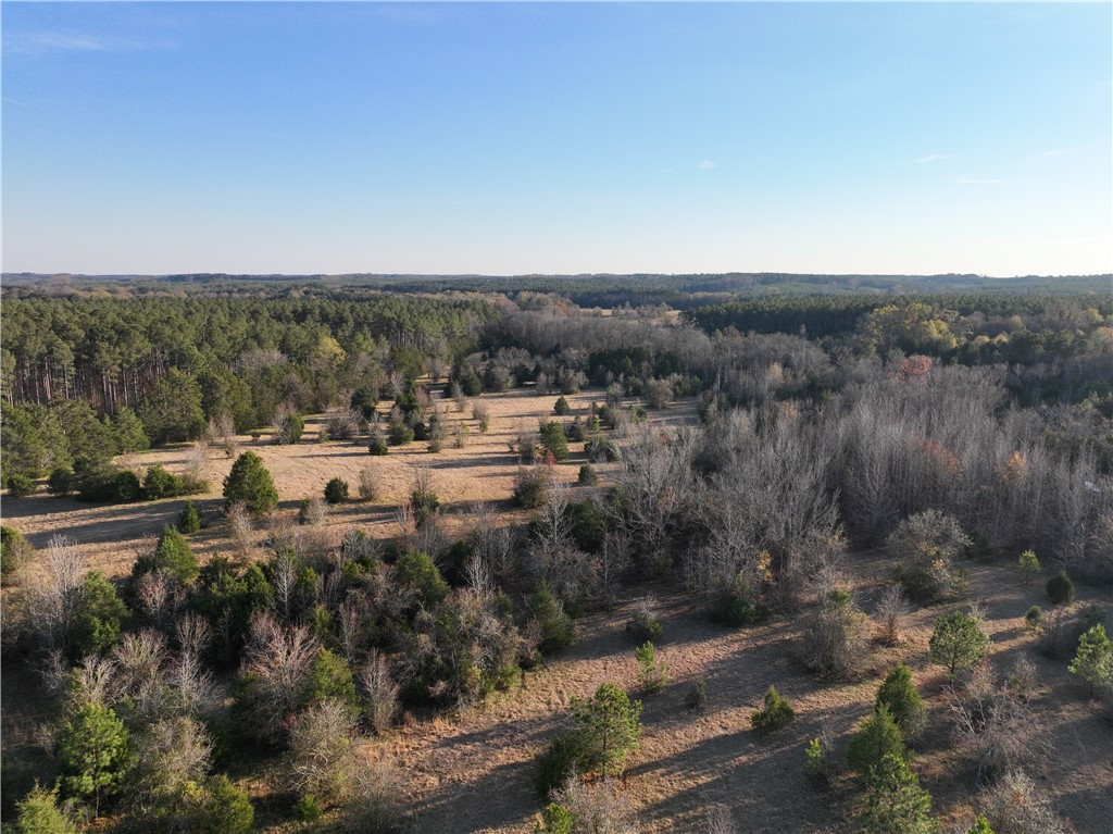 03 Seneca St Extension