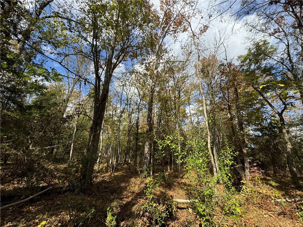 03 Seneca St Extension