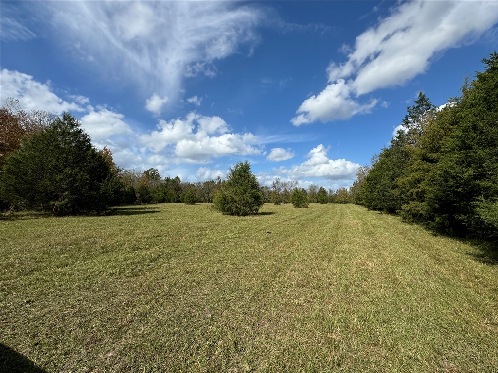 03 Seneca St Extension