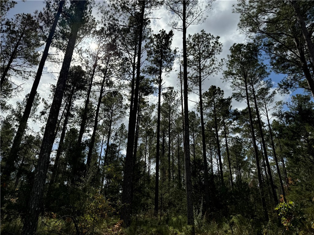 04 Seneca St Extension