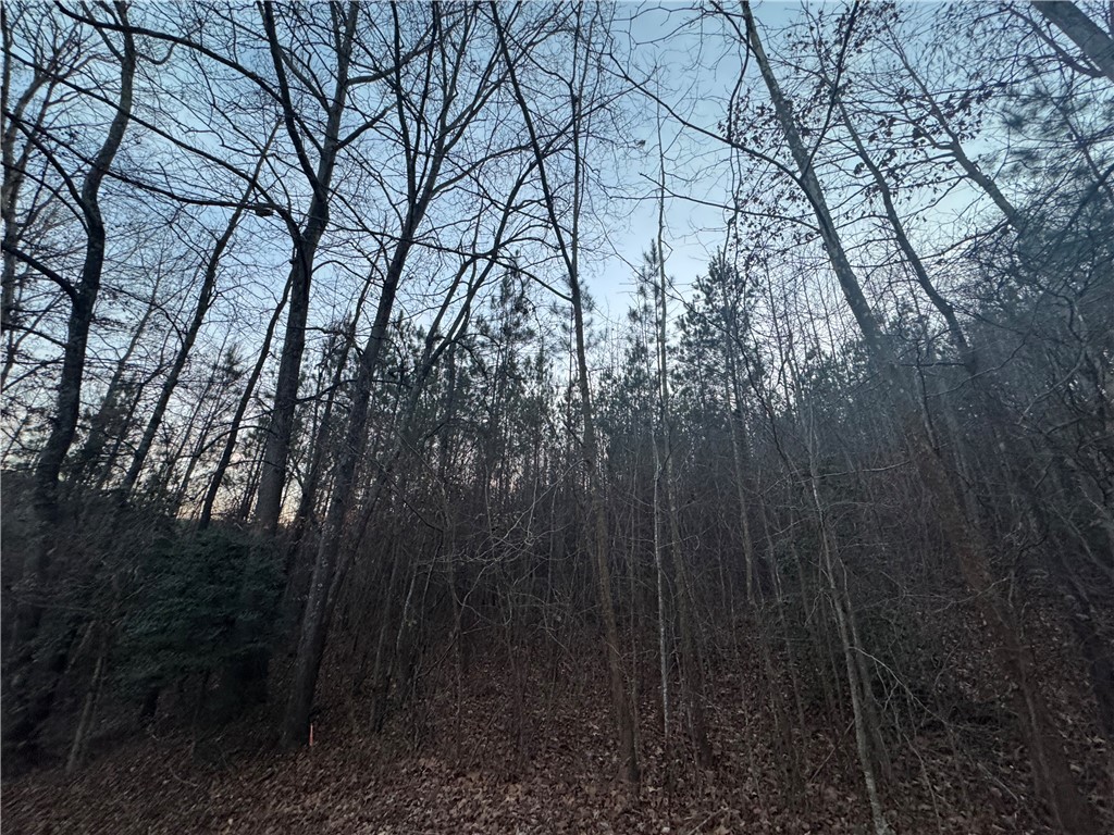 38 Old Plantation Road