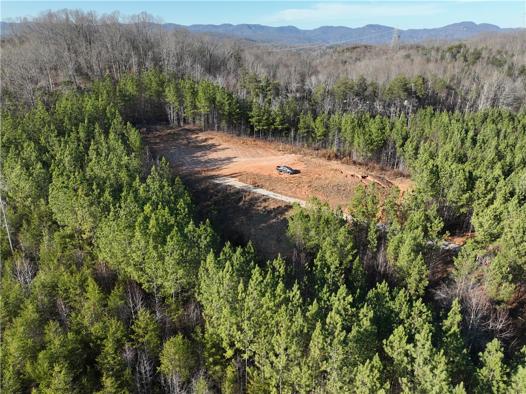 38 Old Plantation Road