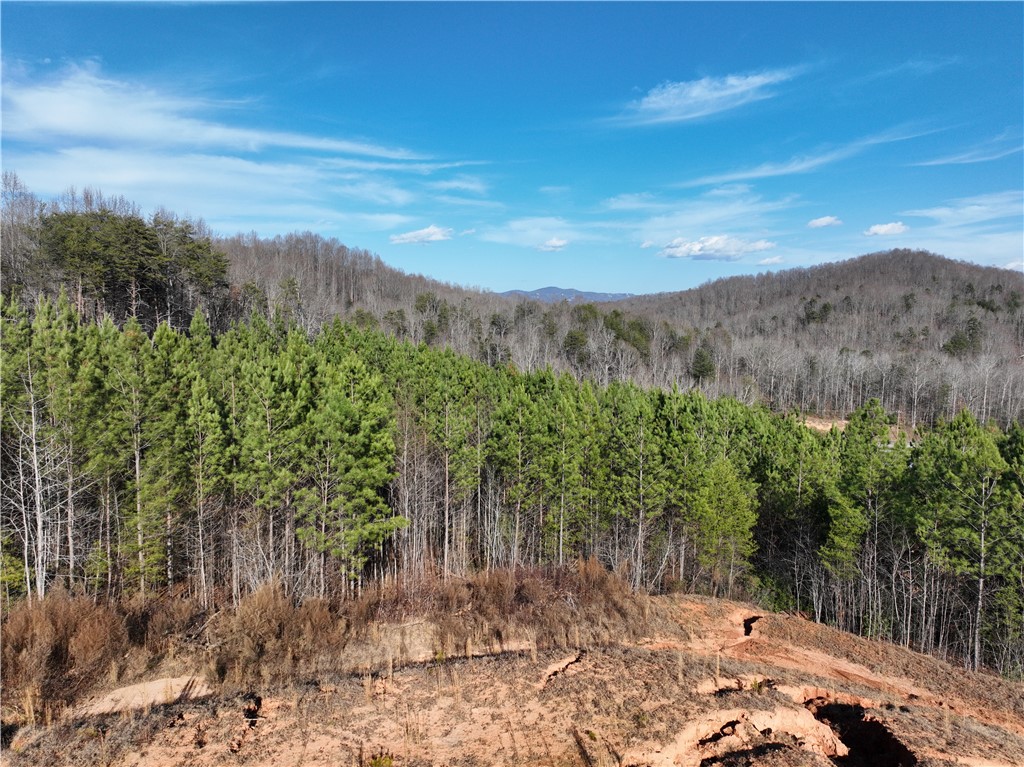 38 Old Plantation Road