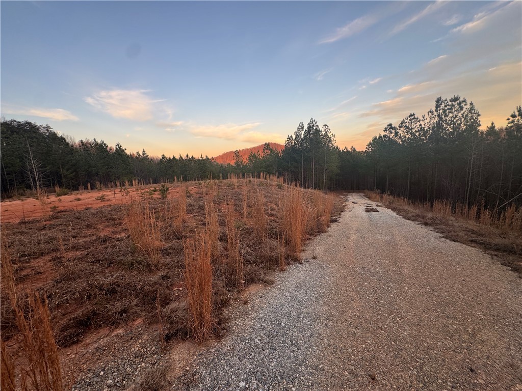 38 Old Plantation Road