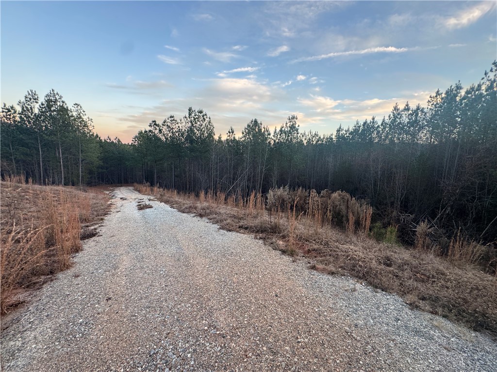 38 Old Plantation Road