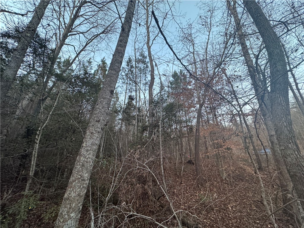 38 Old Plantation Road