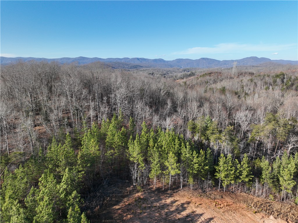 38 Old Plantation Road