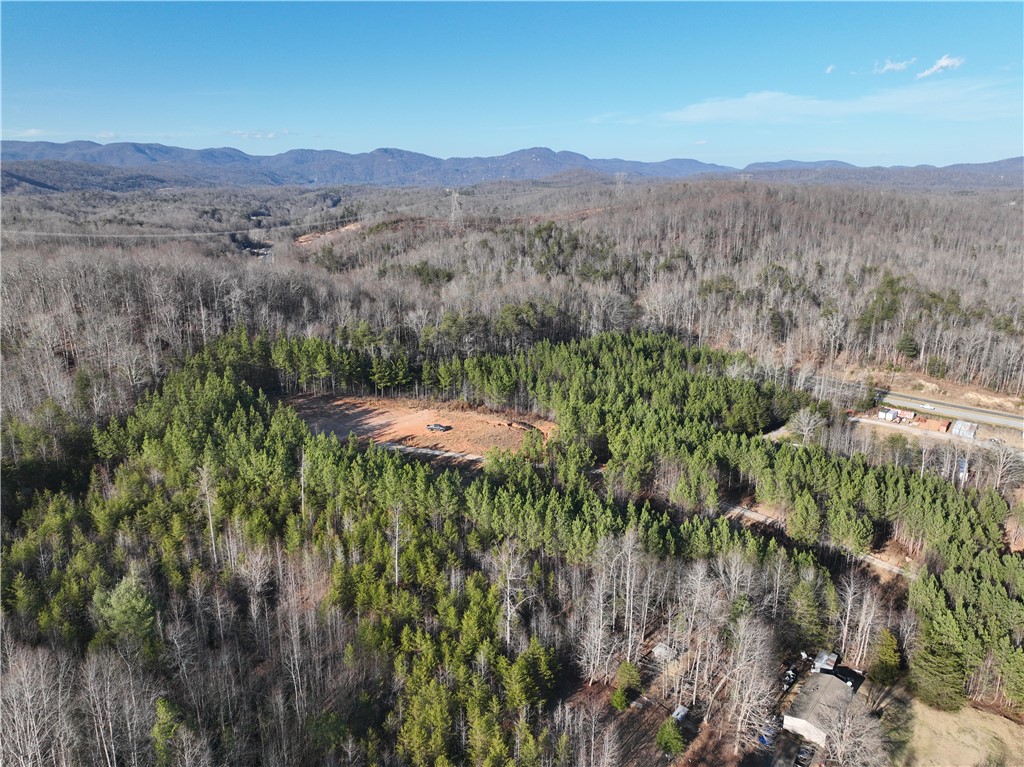 38 Old Plantation Road