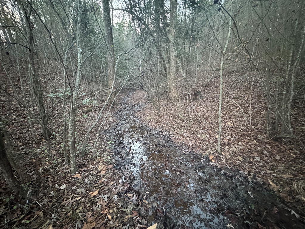 38 Old Plantation Road