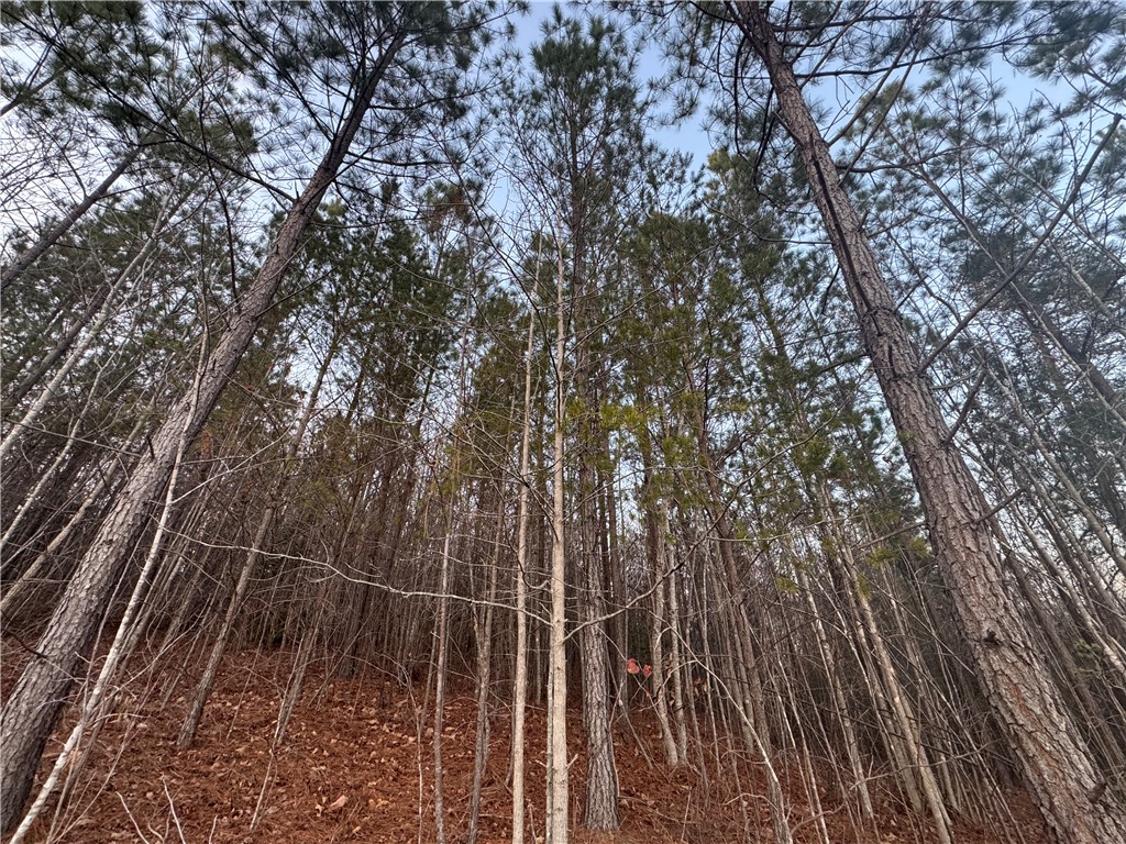 38 Old Plantation Road