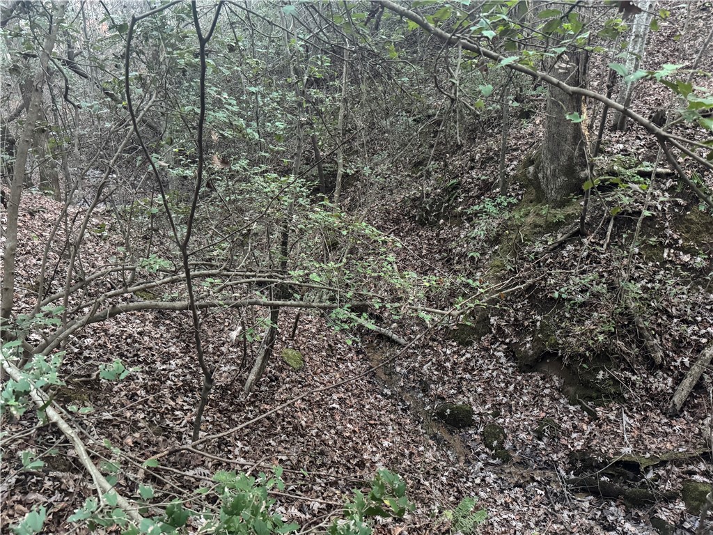 38 Old Plantation Road