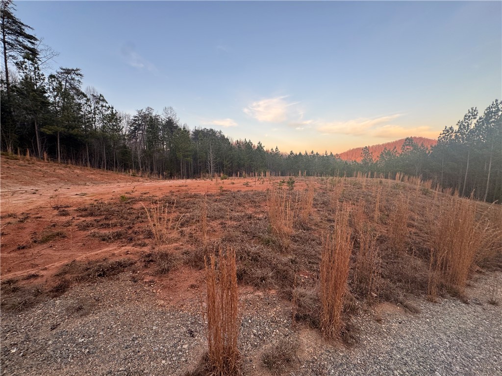 38 Old Plantation Road