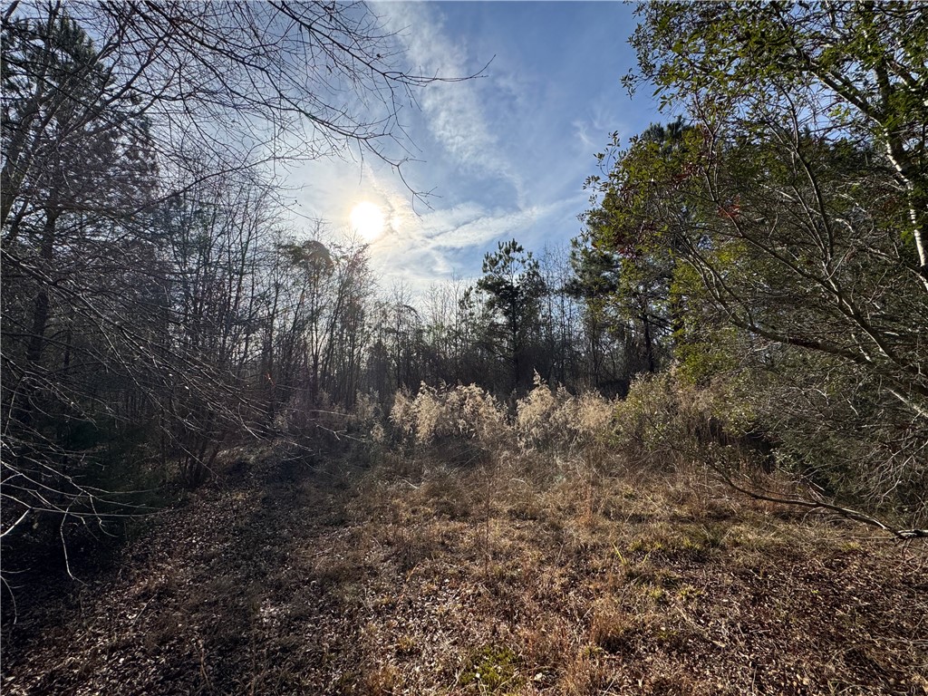 1816 Troy Road