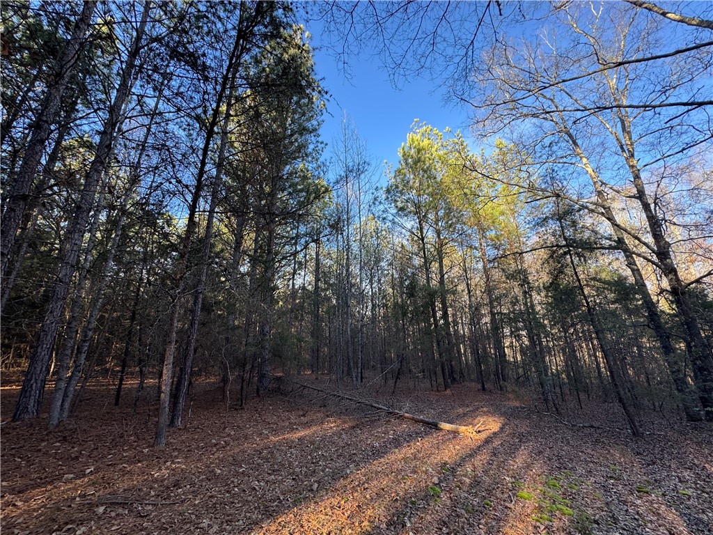 6620 Liberty Highway