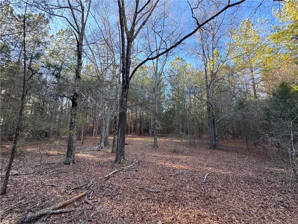 6620 Liberty Highway