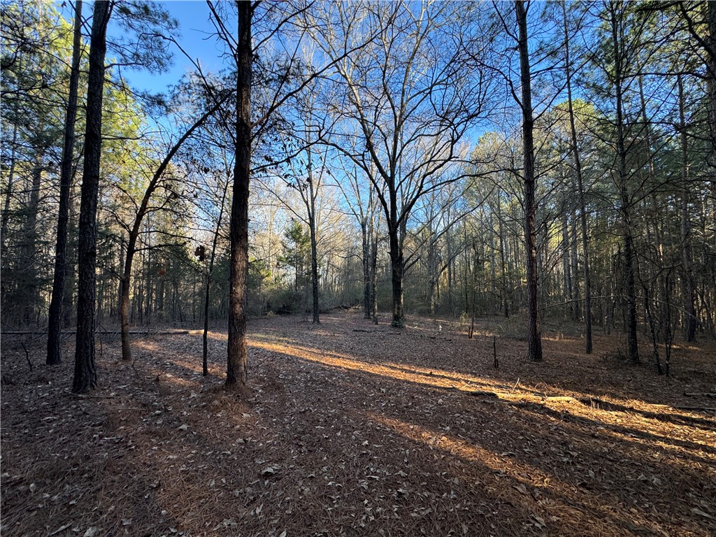 6620 Liberty Highway